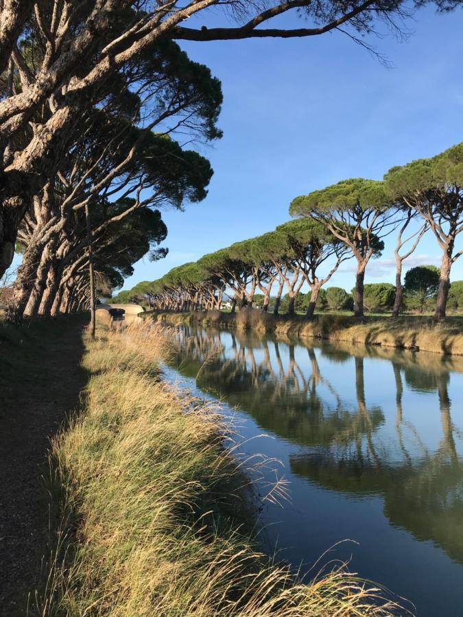 Villa Pintourina Salleles-d'Aude Luaran gambar