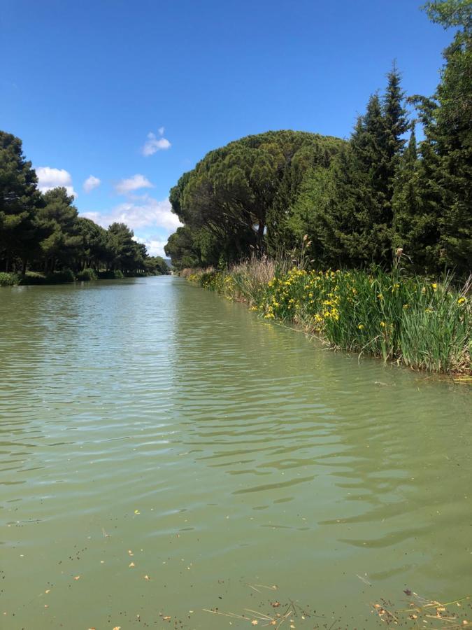 Villa Pintourina Salleles-d'Aude Luaran gambar